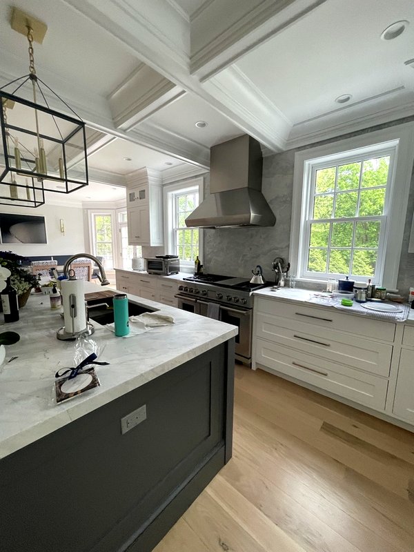 Modern kitchen with painted walls, island and professional range